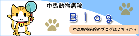 中 馬 動物 病院